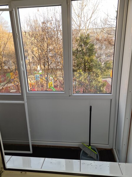 Alexandru Obregia - Aliorului