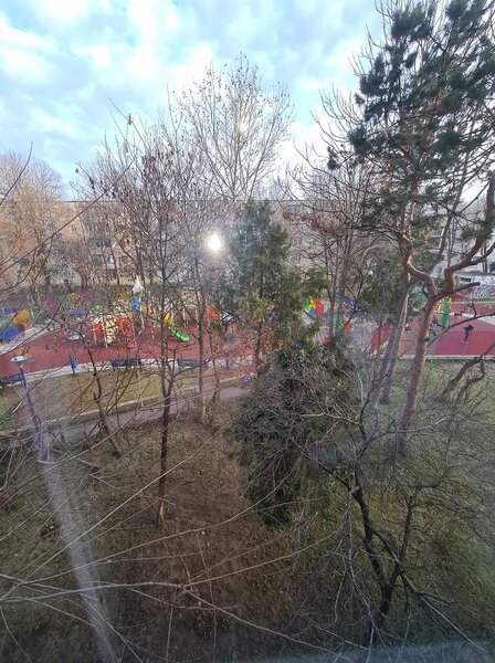 Alexandru Obregia - Aliorului